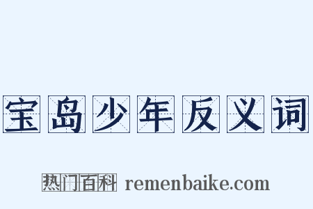 宝岛少年反义词是什么意思的图片